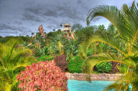 River in the park with palms, Tenerife, Canarian Islandsのeditorial素材