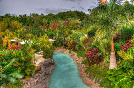 River in the park with palms, Tenerife, Canarian Islandsのeditorial素材