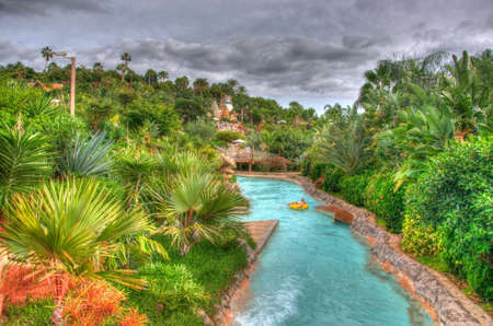 River in the park with palms, Tenerife, Canarian Islandsのeditorial素材