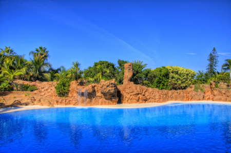 Swimming Pool, Tenerife, Canarian Islandsのeditorial素材