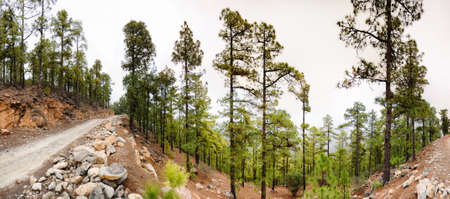 Panorama, Tenerife, Canarian Islands