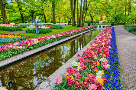 Water path surrounded by colorful tulips, Keukenhof Park, Lisse in Holland.の写真素材