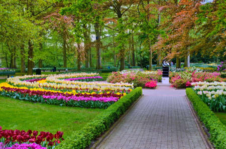 Alley among colorful tulips, Keukenhof Park, Lisse in Holland.の写真素材