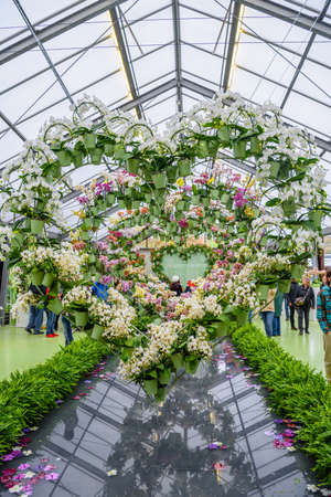 Heart made of orchid flowers in Keukenhof park, Lisse, Holland, Netherlands.の写真素材
