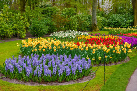 Tuilps and other flowers in Keukenhof park, Lisse, Holland, Netherlandsの写真素材