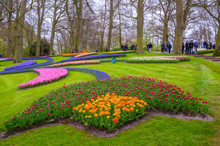 Tuilps and other flowers in Keukenhof park, Lisse, Holland, Netherlandsの写真素材