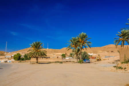 Palms in Sahara desert in Tunisia, North Africa