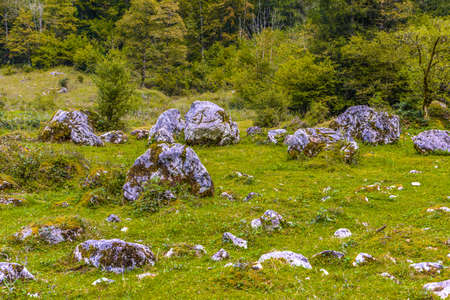Boulder stones in Koenigssee, Konigsee, Berchtesgaden National Park, Bavaria Germanyの写真素材