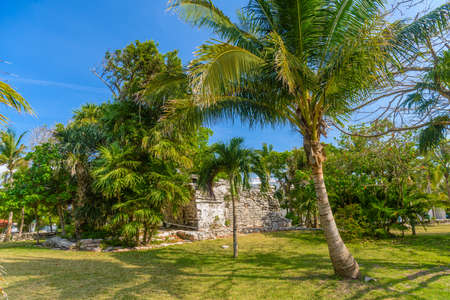 Playacar Mayan ruins in the forest park in Playa del Carmen, Yucatan, Mexico.の写真素材