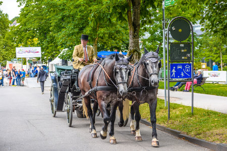 BADEN BADEN, GERMANY - JULY 2019: coachman with coach and 2 brown horses, oldtimer meeting in Kurpark.のeditorial素材