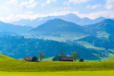 Green fields with blue sky, Schoenengrund, Hinterland, Appenzell Ausserrhoden Switzerland.の写真素材