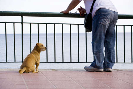 a photo of dog and it's ownerの写真素材