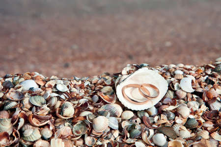 two wedding rings in shell near seasideの写真素材