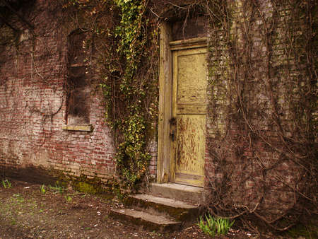 Yellow door in old stone building lying in ruins as nature overruns the place.の写真素材