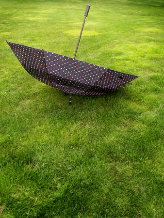 Large black umbrella with colored poka dots stands upside down on lush green lawn.の写真素材