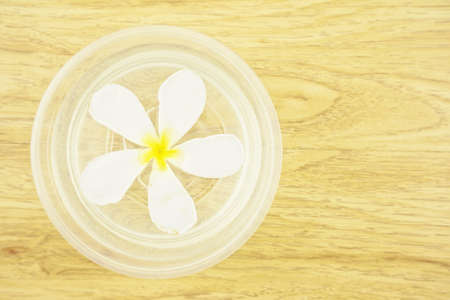 Plumeria place on the water in a plastic bowl on wooden table 