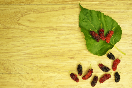 Red and black mulberry on  leaf place on right with wood background の写真素材