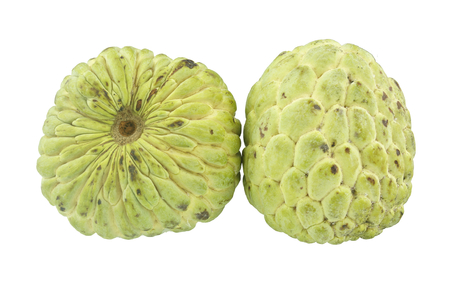 Pair of green ripe custard apple sweet fruit isolated on white background の写真素材