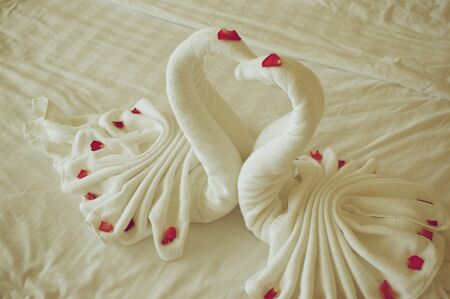 Towel plait as swans with petal red rose on white bed in vintage style.の写真素材
