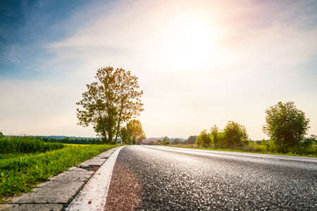 Low angle shot of a german country road in the summer with green trees and bushes along the road.の写真素材