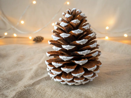 Christmas pine cone on a background of garland lights. Christmas decorationの素材