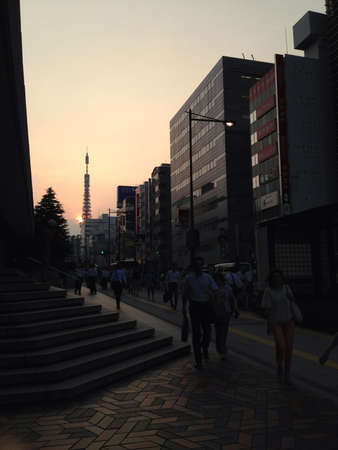 Sunset at Tokyo Tower.の素材