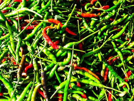 Cayenne pepperの写真素材