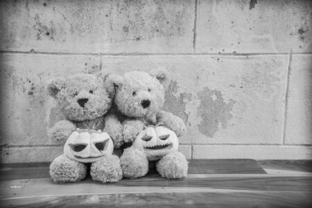 teddybears with carved pumpkins ready for Halloweenの写真素材
