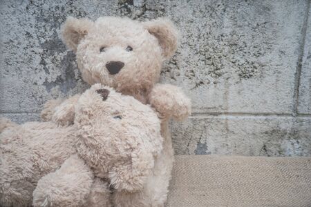teddybears in the parkの写真素材
