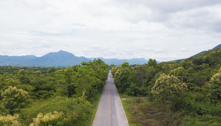 Aerial top view top view of the road through the treesの写真素材