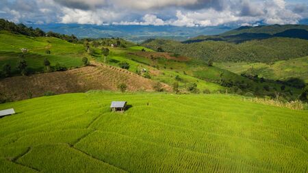 Top view of the rice paddy fields in northern Thailandの写真素材
