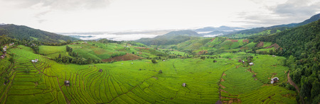 Top view of the rice paddy fields in northern Thailandの写真素材