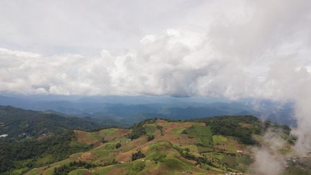 Top view of the rice paddy fields in northern Thailand