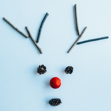 Creative layout made of Christmas decorations. Flat lay. Nature conceptの写真素材