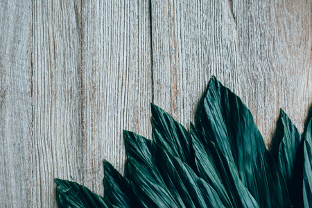 Creative layout made of green leaves. Flat lay. Nature conceptの写真素材