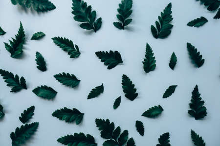 Creative layout made of green leaves. Flat lay. Nature concept