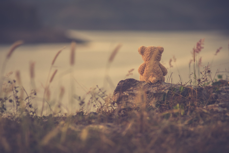 The silhouette of teddy bear sitting alone, concept of lonelyの写真素材