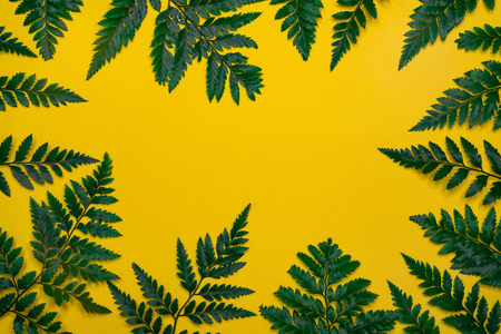 Creative flatlay with fashion object on white backgroundの写真素材