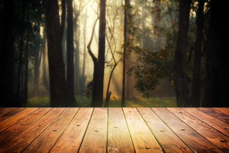 wooden table in front of green forest and sunset for backgroundの写真素材
