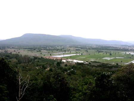 Rice field landscape in Thailandの素材