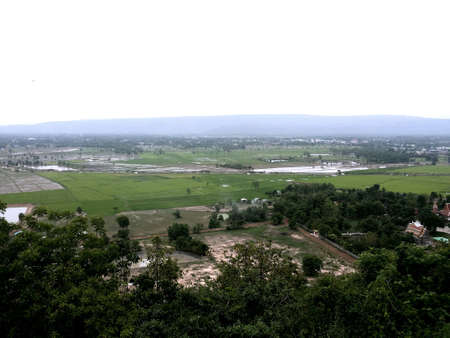 Rice field landscape in Thailandの素材