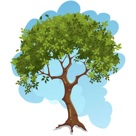 Nature vector tree illustrationのイラスト素材