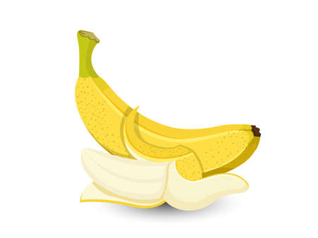 Vector Banana fruits isolated on white backgroundのイラスト素材
