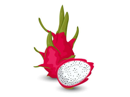 Vector Dragon fruit isolated on white backgroundのイラスト素材