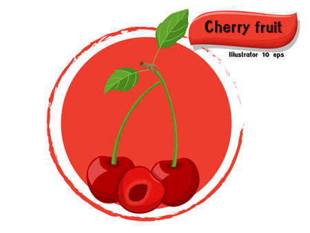 Vector Cherry fruit isolated on color background,illustrator 10 epsのイラスト素材