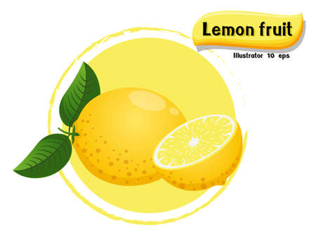 Vector Lemon fruit isolated on color background,illustrator 10 epsのイラスト素材