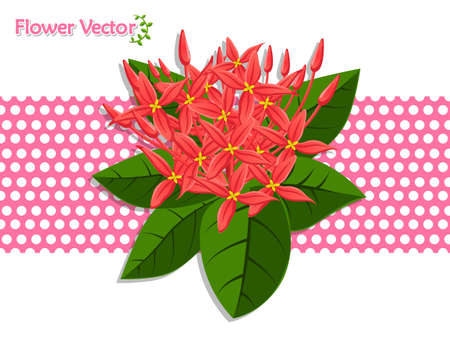 Fresh spring beautiful color Flowers on background. Vector illustration. Gift and decorative element. Floral and garden.のイラスト素材