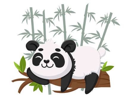 Cute cartoon Panda characters. on the bamboo background. Children illustration in vector flat style and educationのイラスト素材
