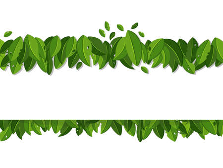 Green leaves on white background .Vector illustrations. New template design for banner, flyer, brochure or voucher. Natural therapyのイラスト素材
