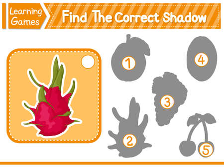 Find The Correct Shadow Find And Match The Correct Shadow Of Dragon Fruit. Kids Educational Game. Printable Worksheet Vector Illustration. Learning Gameのイラスト素材